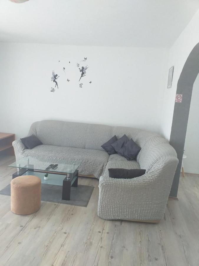 Apartment Darinka شيبينيك المظهر الخارجي الصورة